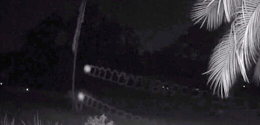 Security Camera In Florida Captures Mysterious Flying Orbs Of Light Big World Tale 