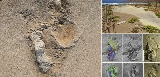 Experts Identify Oldest Footprints Of Pre-humans In Crete - Big World Tale