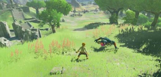 ‘The Legend of Zelda: Breath of the Wild’ Skull Lake’s Kilton Still ...