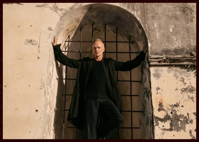 Where to buy Argos return pallets The Sun Big World Tale