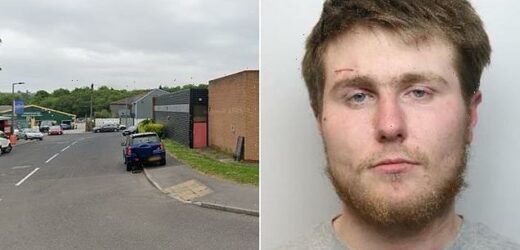 Rapist Jailed For 11 Years After Attacking Woman In Broad Daylight Big World Tale 