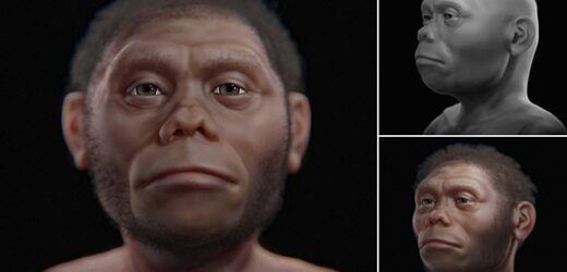 Face of a 'real-life HOBBIT' who lived 60,000 years ago is revealed ...